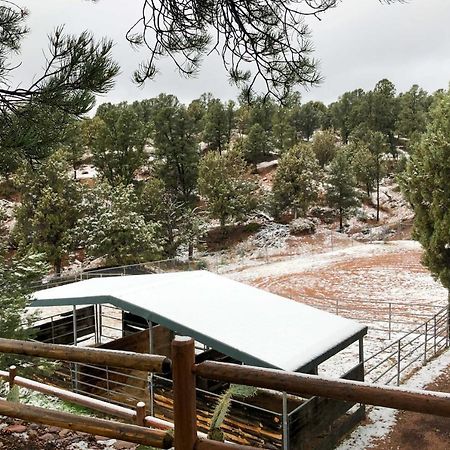 Multi-Family Rocking Horse Ranch With Sauna! Payson Kültér fotó